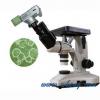 显微镜全家福