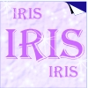 iris2.jpg